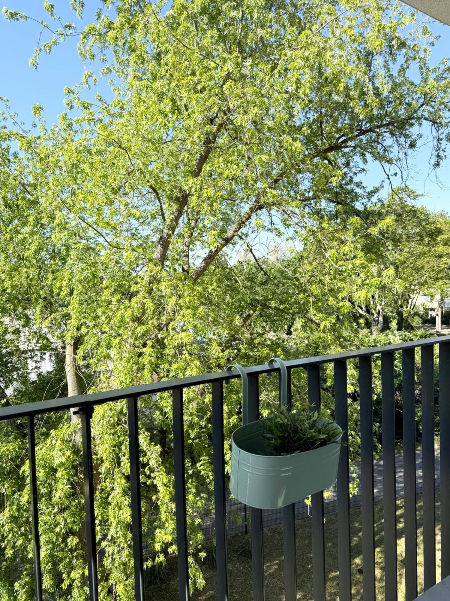 Ela Apartments MHG Eksteriør bilde